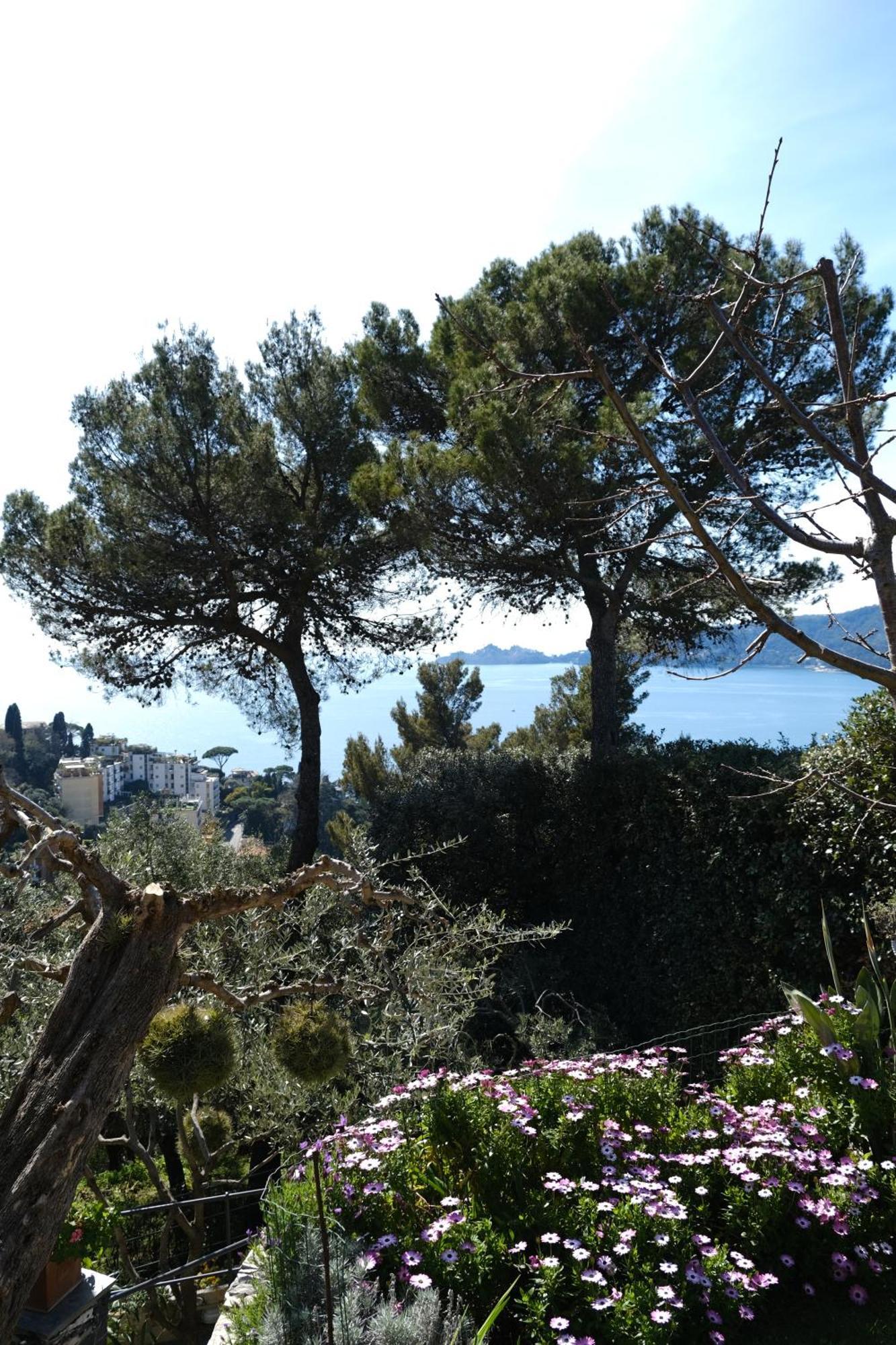 L'Alcova Tra Gli Ulivi By Portofinovacanze Zoagli Bagian luar foto