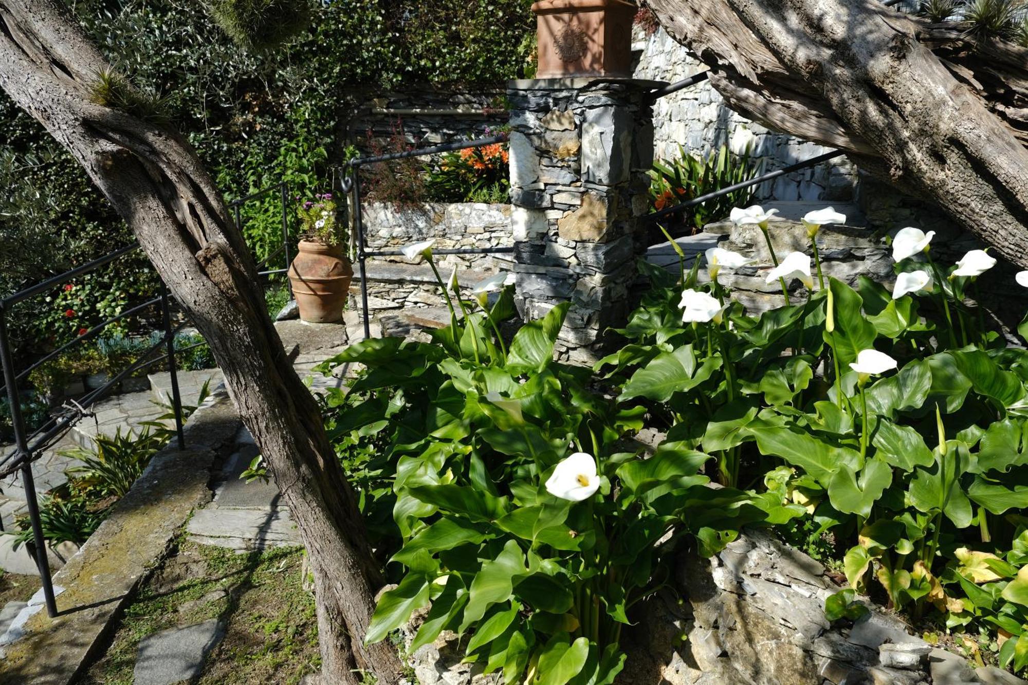 L'Alcova Tra Gli Ulivi By Portofinovacanze Zoagli Bagian luar foto